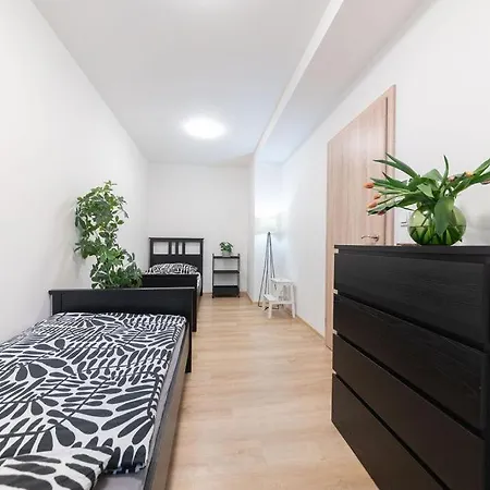 Apartment Stankova *